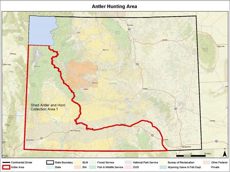 Shed hunting season has arrived for some parts of the state | Wyoming ...