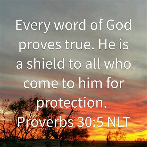 Proverbs 30:5 - Every Word of God Proves True