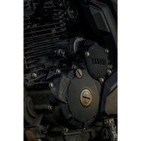 Side view. Yamaha FZ25 Motorcycle Picture Gallery - Bikes4Sale