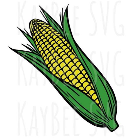 Corn Cob Png