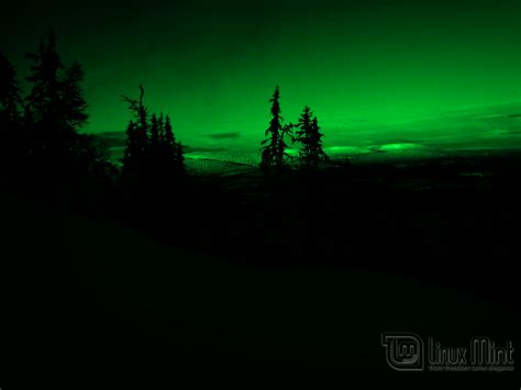 Image result for Linux Mint CPU Background