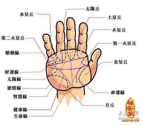 周易命理师傅：手纹掌纹学问大，正确认识手相的完整介绍