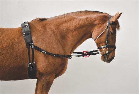 Mackey Nylon Side Reins | VioVet.co.uk | FREE delivery available