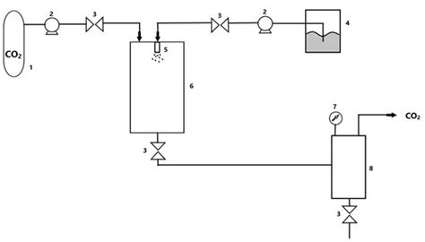 Application of Fluids in Supercritical Conditions in the Polymer Industry