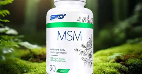 SFD MSM 90 таб 💊 — Teletype