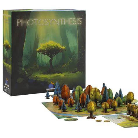 Photosynthesis Strategy Board Game, by Blue Orange - Walmart.com