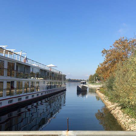 Viking Rhine River Cruise was a major disappointment - Reviews, Photos ...