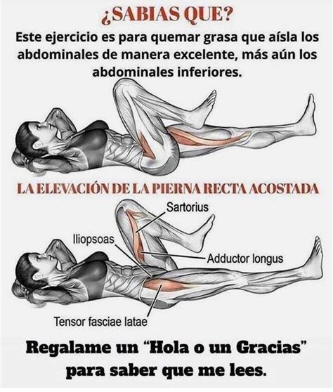 Pin de karina paladino en ejercicio | Rutinas de ejercicio, Ejercicios ...
