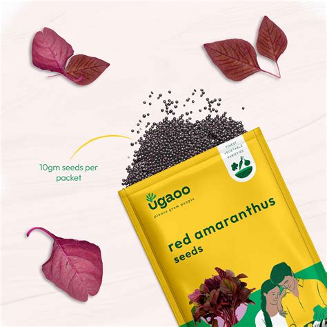 Red Amaranthus Seeds (Red Math) – Ugaoo