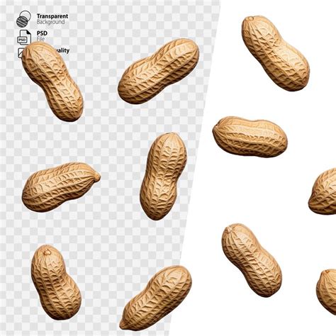 Scattered unshelled peanuts arranged haphazardly on a transparent ...