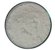 Spray Dried Sunflower Fat Powder Manufacturer, Supplier from Nagpur