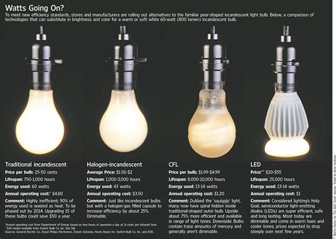 Image result for Types of Light Bulbs Explained