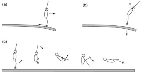 Image result for Springboard Toe Logging