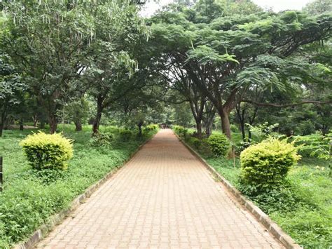 Delhi Omicron: All about the Yellow Alert issued in Delhi | The ...