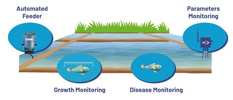 Building India's Largest Aquaculture Company