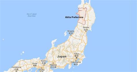 Japan: Boat carrying eight men washes ashore in Akita Prefecture, they ...