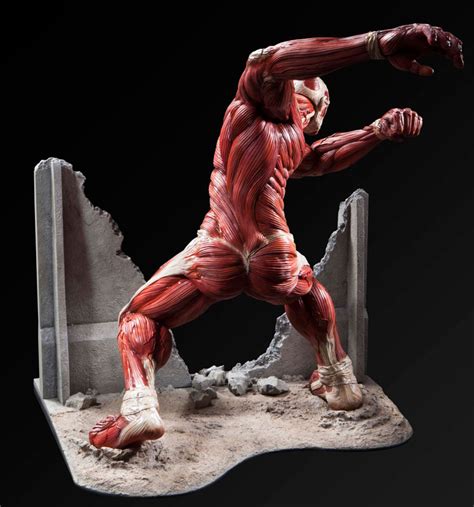 Ultimate Modeling Collection Attack On Titan Colossal Titan Polystone ...