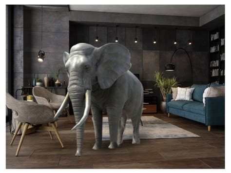 Augment your own world with 3DBear - Times of India