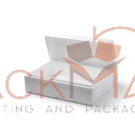 Thermocol Polystyrene Boxes & Fitments