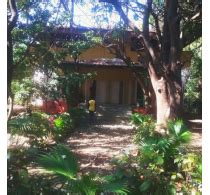 Farm Fresh Grapes On Your Doorsteps ||Best Grapes Nashik|| - Online ...