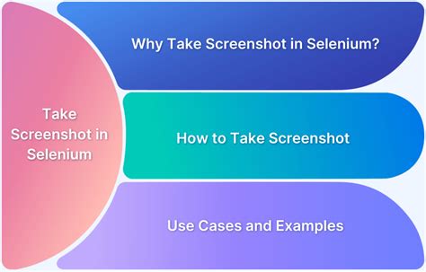 Image result for Java Selenium Screen Shot