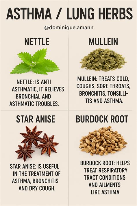 Natural Remedies For Asthma