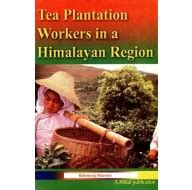 Tea Plantation Worke in a Himalayan Region Books Online at Low Prices ...