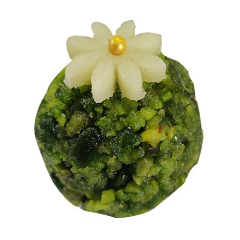 Pishori Pista Ladoo – Vedic Spoons