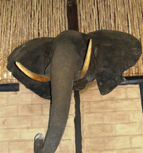 A DAY IN AFRICA LODGE (Sodwana, KwaZulu-Natal) - Lodge Reviews & Photos ...