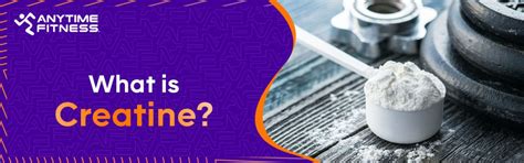 How Creatine Transforms Your Gym Results