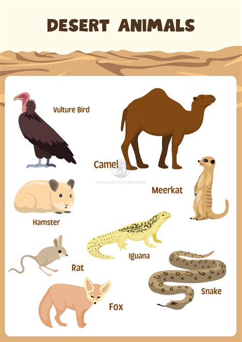 Simple Brown Desert Animals Poster for Kids - Fun & Educational Wall ...