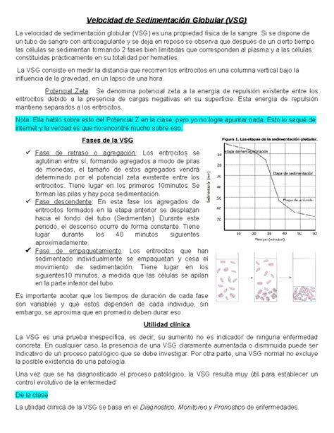 8 velocidad de sedimentacion globular - Si se dispone de un tubo de ...