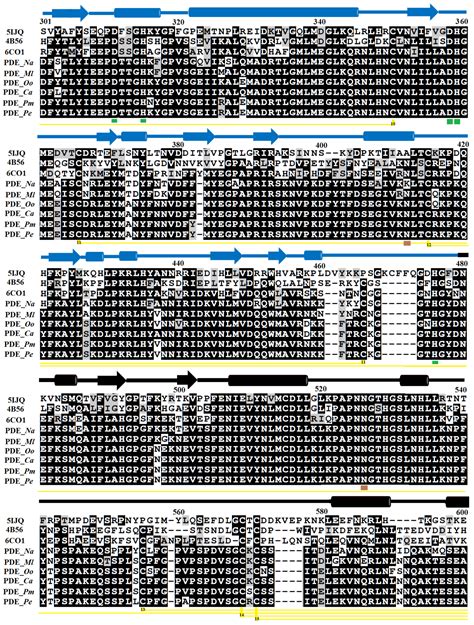 The Sequence and a Three-Dimensional Structural Analysis Reveal ...