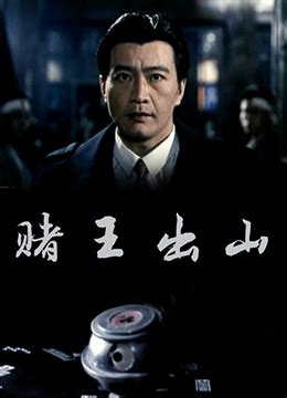 《赌王出山》1993年中国大陆电影在线观看_蛋蛋赞影院