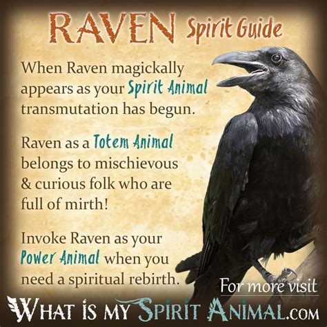Raven Symbolism & Meaning | Raven Spirit, Totem, & Power Animal ...