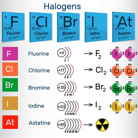 Periodic Table Halogens Group