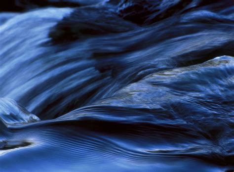 Image result for Patterns in Nature