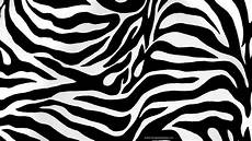 Zebra Print Designs by 15 Zebra Patterns Free Pat Png Vector Eps Format Zebra Print Designs