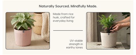 Eha Earth Friendly Romano 7.5 inch Planters for Home Decor | Set of 2 ...