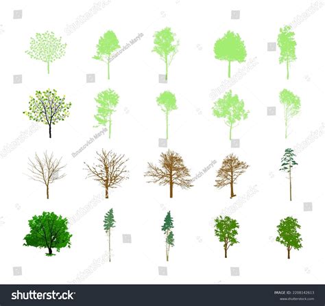 Tree Vector 的图像结果