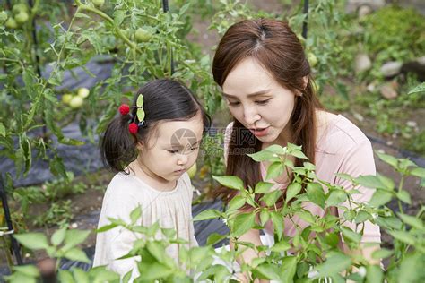 文科硕士盯着看户外的花园体验式学习韩语高清图片下载-正版图片502217875-摄图网