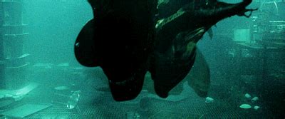 Alien Resurrection 1997 的图像结果