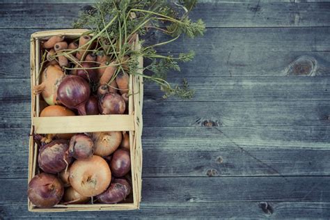 Local Food System Definition 的图像结果