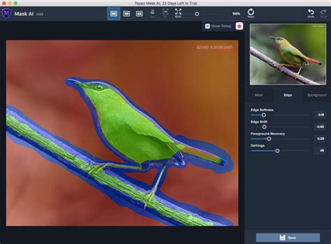 Topaz Mask Tutorial 的图像结果