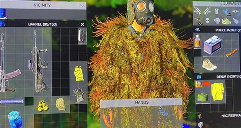 DayZ Beginner 的图像结果