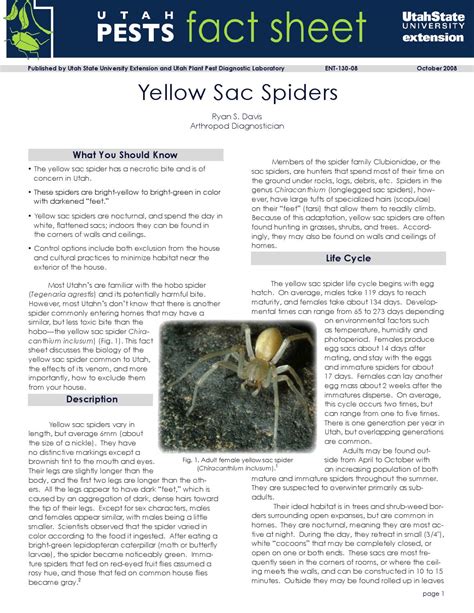 Yellow Sac Spider Bite