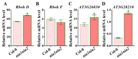 Nitrate Reductase-Mediated Nitric Oxide Regulates the Leaf Shape in ...