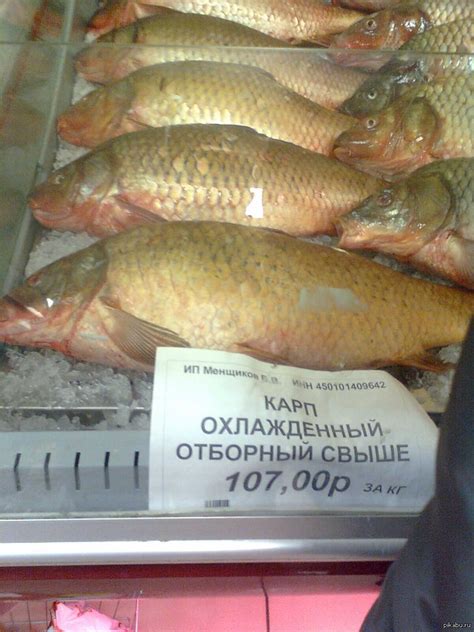 Карп Цена В Магазине За Килограмм — XXX-shoping.ru