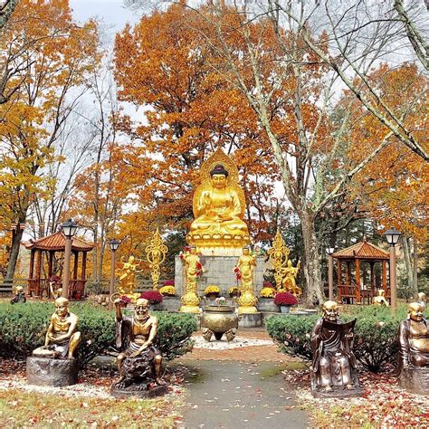 JINYIN TEMPLE (Updated 2026) All You Need to Know BEFORE You Go (with ...