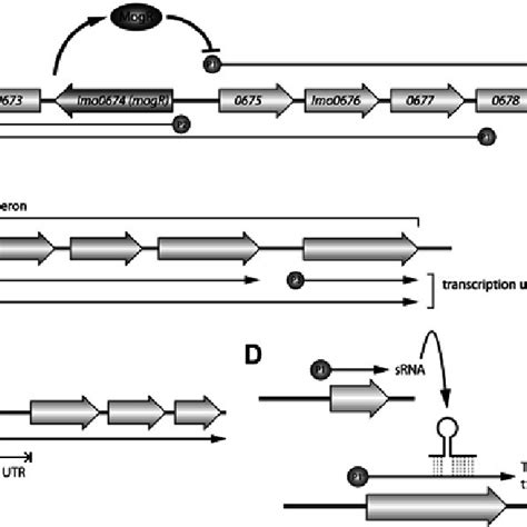 Transcriptome Analysis Example 的图像结果